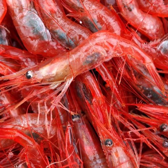 'Possibly the end.' Quebec shrimp fishery facing climate change, tough economy
